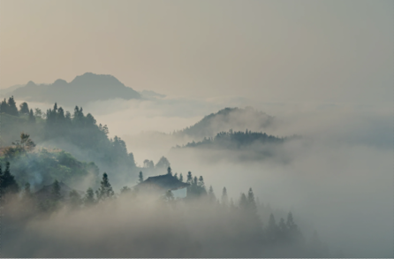 350 CE. The origins of tea in China